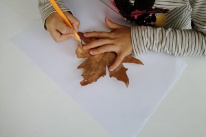 Sonbahar: kuru yaprak çiziyoruz